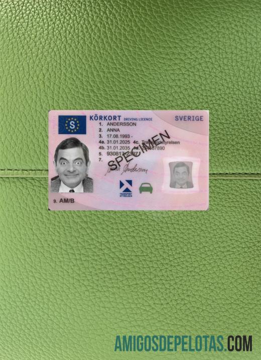 Carta de condução da Suécia 2025 presente fotolook frente amostra